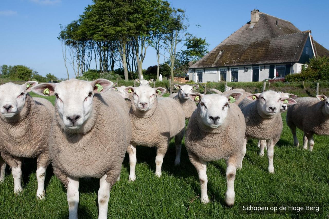 Vakantiepark De Krim Texel Hotel De Cocksdorp  Bagian luar foto